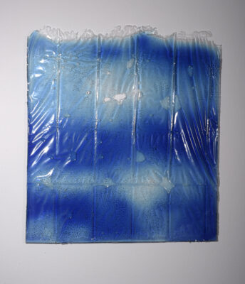 vanessa billy plastic water